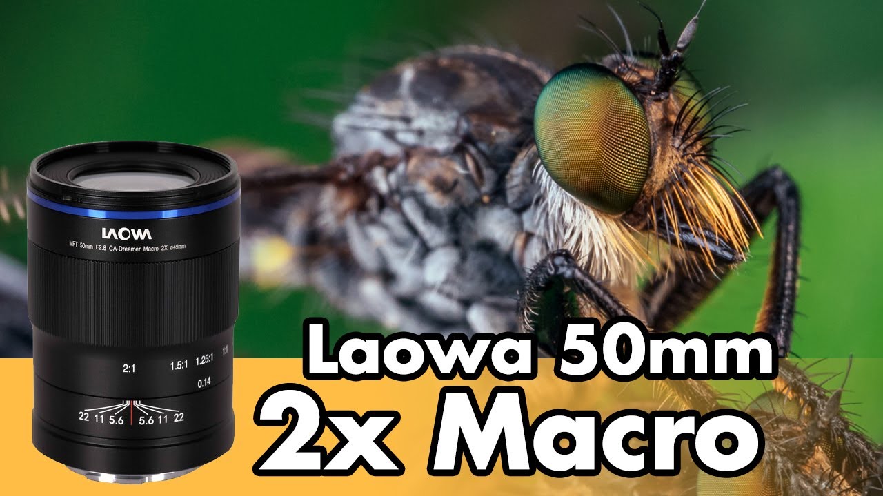 Evaluating the Laowa 50mm f/2.8 Macro Photographing Insects in Brazil