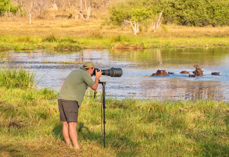 Using A Monopod For Nature And Wildlife Photography