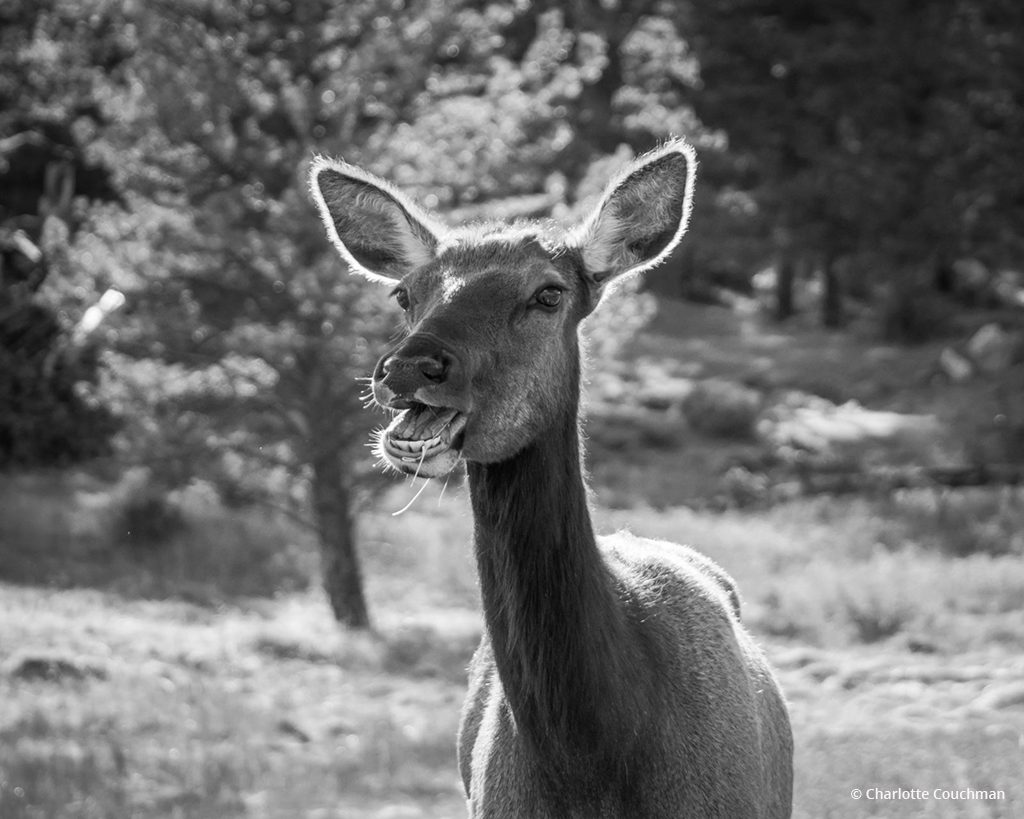 Photo By Charlotte Couchman