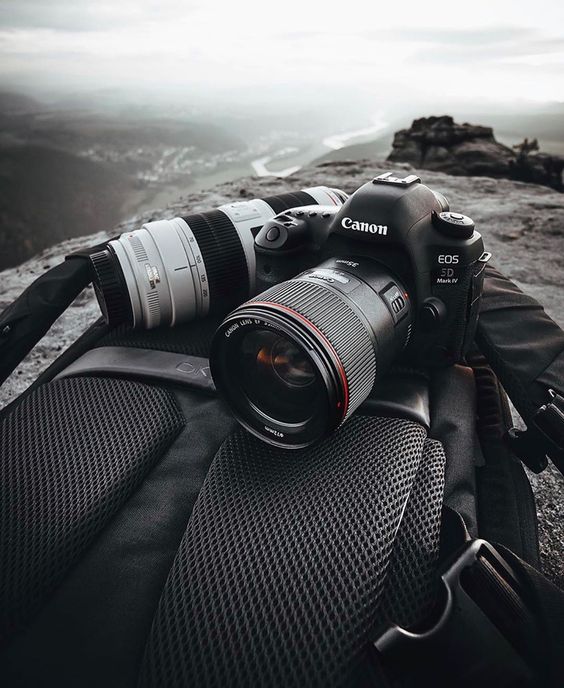 6 Best canon cameras for wildlife photography in 2023
