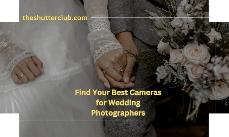Find Your : Best Cameras for Wedding Photographers