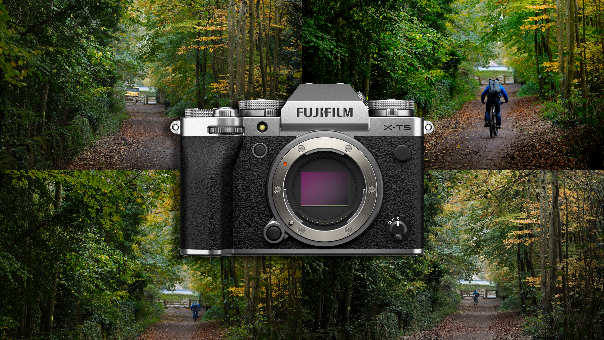 Fujifilm X-T5 Film Simulations