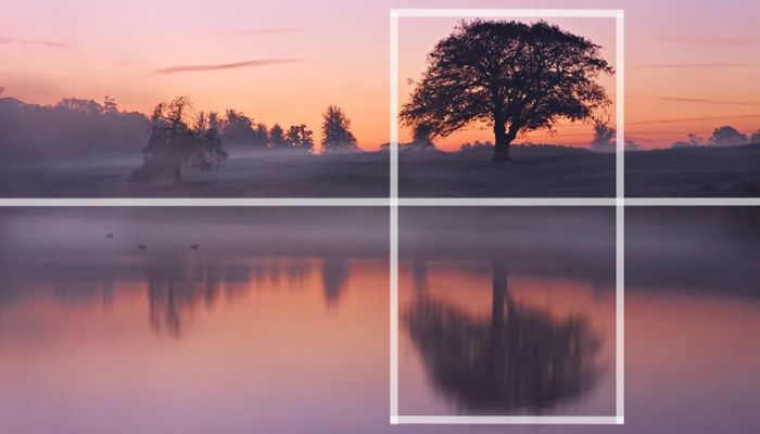 Photography Basics Composition