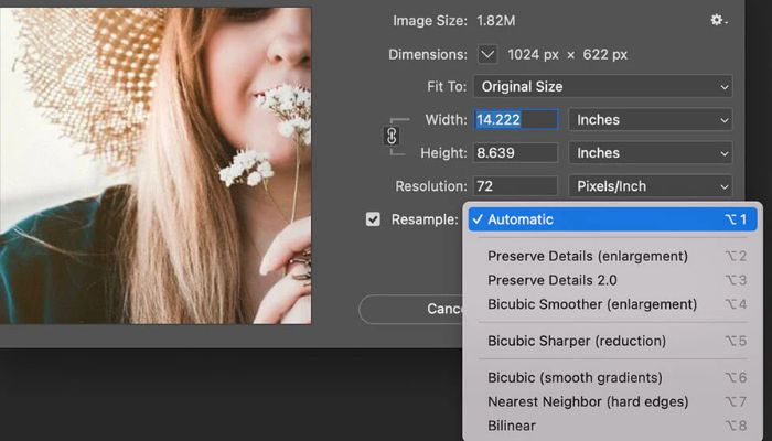 How to Resize an Image Using Photoshop: Step-by-Step Guide
